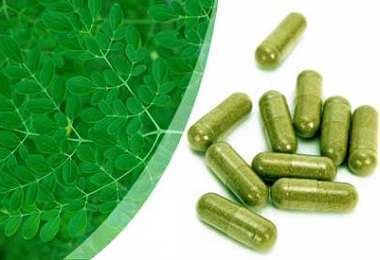 How Can You Use Moringa Oleifera?