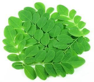 Moringa, a Marvel of a Tree