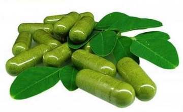 Moringa, a Marvel of a Tree