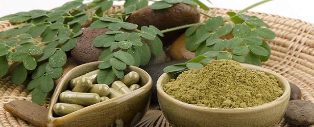 Is Moringa Oleifera for You?