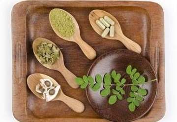  Moringa Joins the Ranks of Superfoods